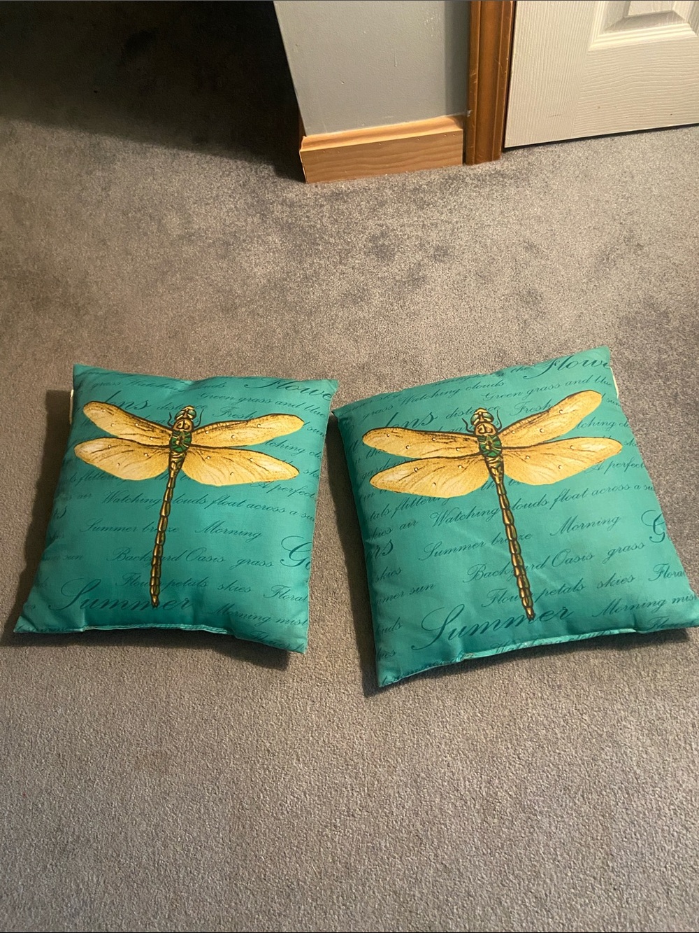 Teal Dragonfly Out Door Throw Pillows - Set of 2
